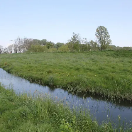 Comfortable Near The