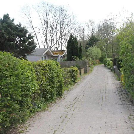 Comfortable Near The *